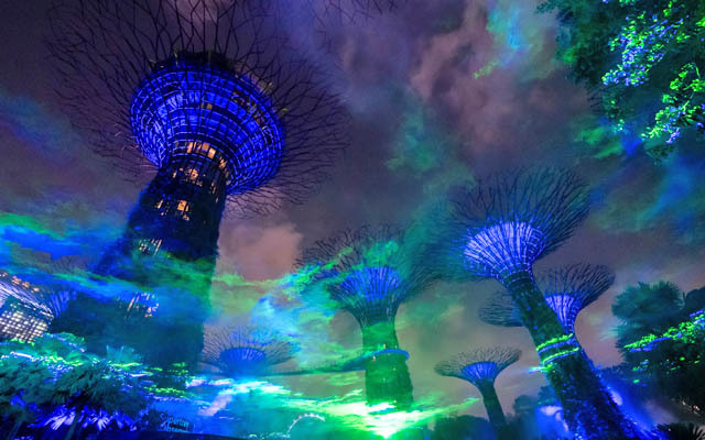 Gardens by the Bay Supertrees at night
